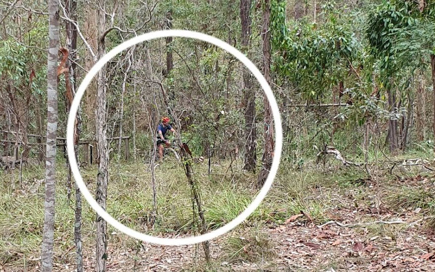Mountain biker on Butterfly Track, April 2023