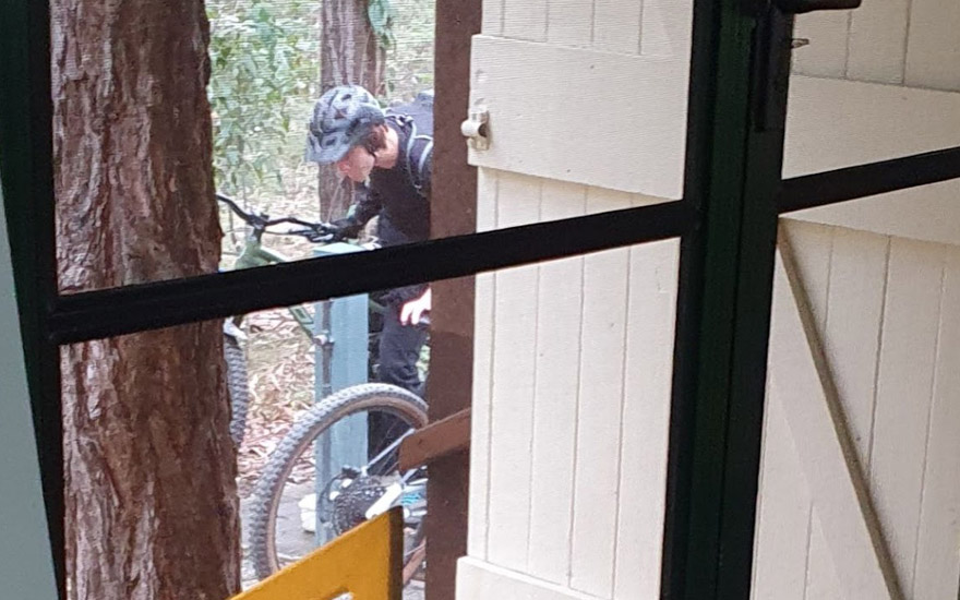Mountain bikers on Butterfly Track, June 2023